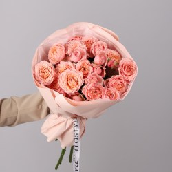 kustovaya roza pionovidnaya 6